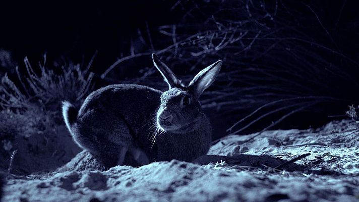 Somos Documentales - El Kunsag: La vida secreta de la gran llanura Hung