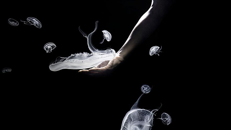  Programación de Photoespaña 2021