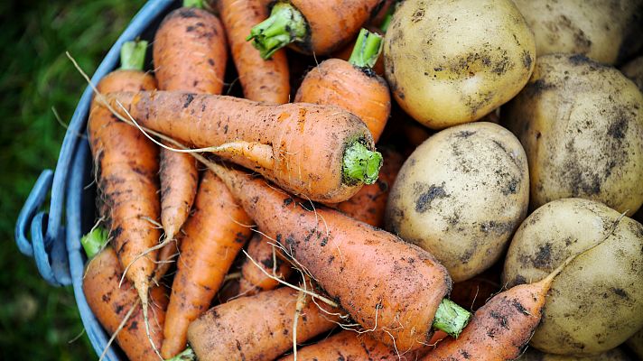 Aprendemos a cocinar patatas para sacar sus beneficios