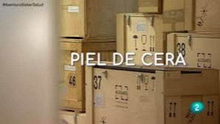 La aventura del Saber - Piel de cera