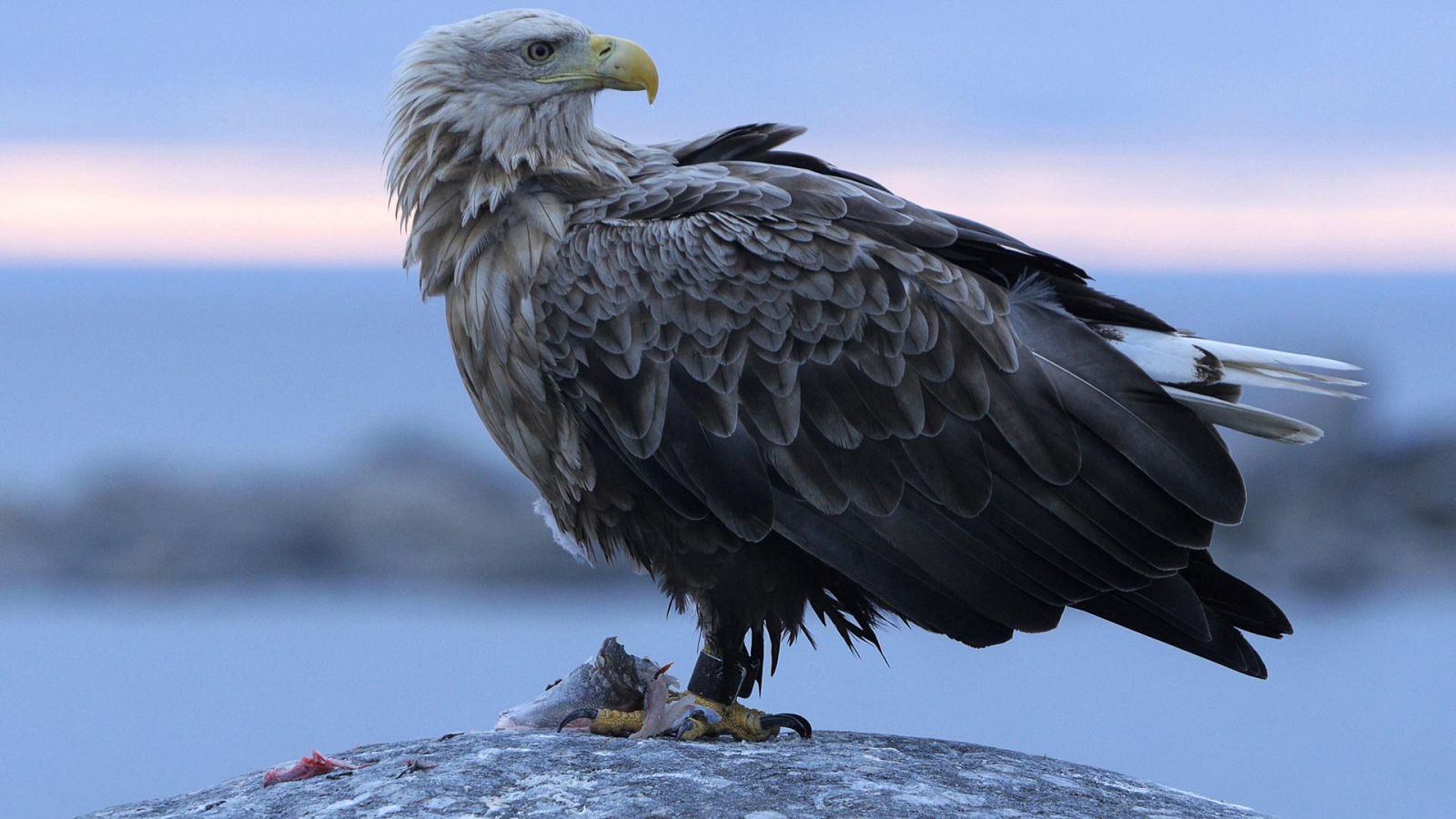 Somos documentales - El mar que desapareció - ver ahora