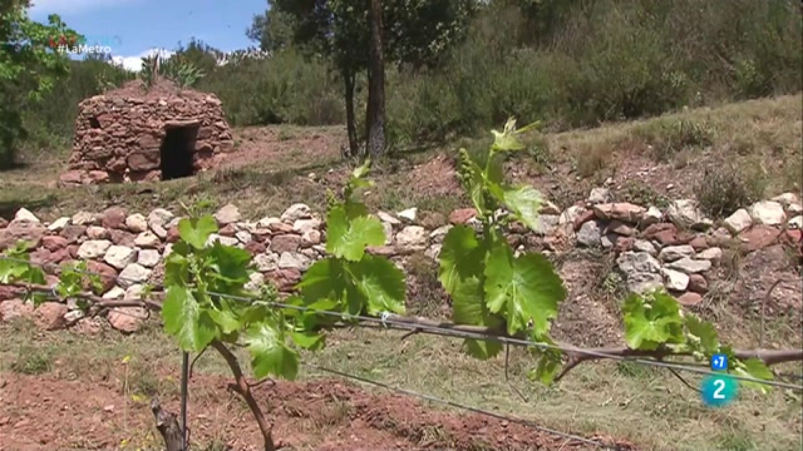 Relleu al camp, Encaixant pedres i Eixample amb nom de dona | La Metro - RTVE Catalunya