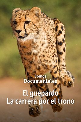 Somos Documentales - El guepardo. La carrera por el trono