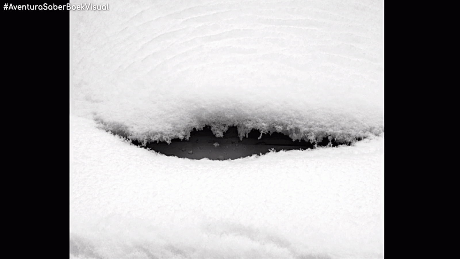 La aventura dLa aventura del saber Boek visual Hector Jacome Poesía Visual arte fotografía videoarte #AventuraSaberBoekVisual