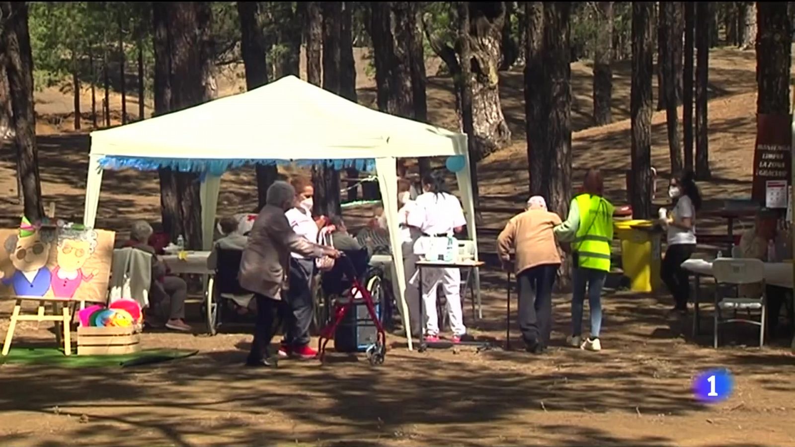 Telecanarias: Los ancianos de El Hierro salen por fin de excursión           | RTVE Play