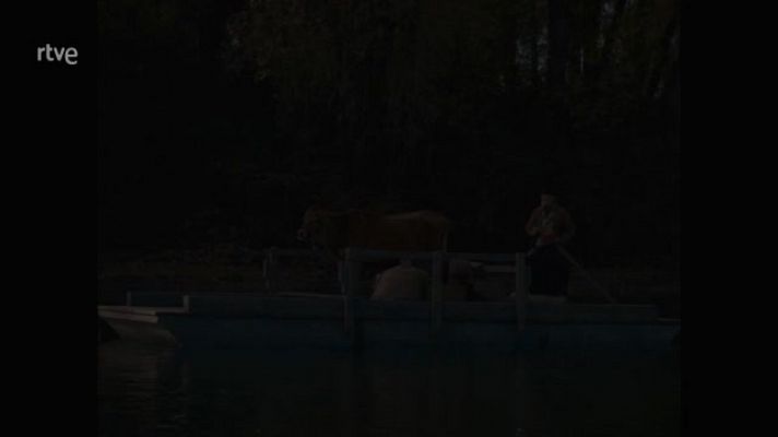 Días de cine - Días de cine - 'First cow'