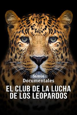 El club de la lucha de los leopardos