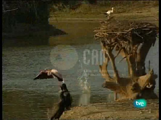 Guardianes de hábitat - El último edén