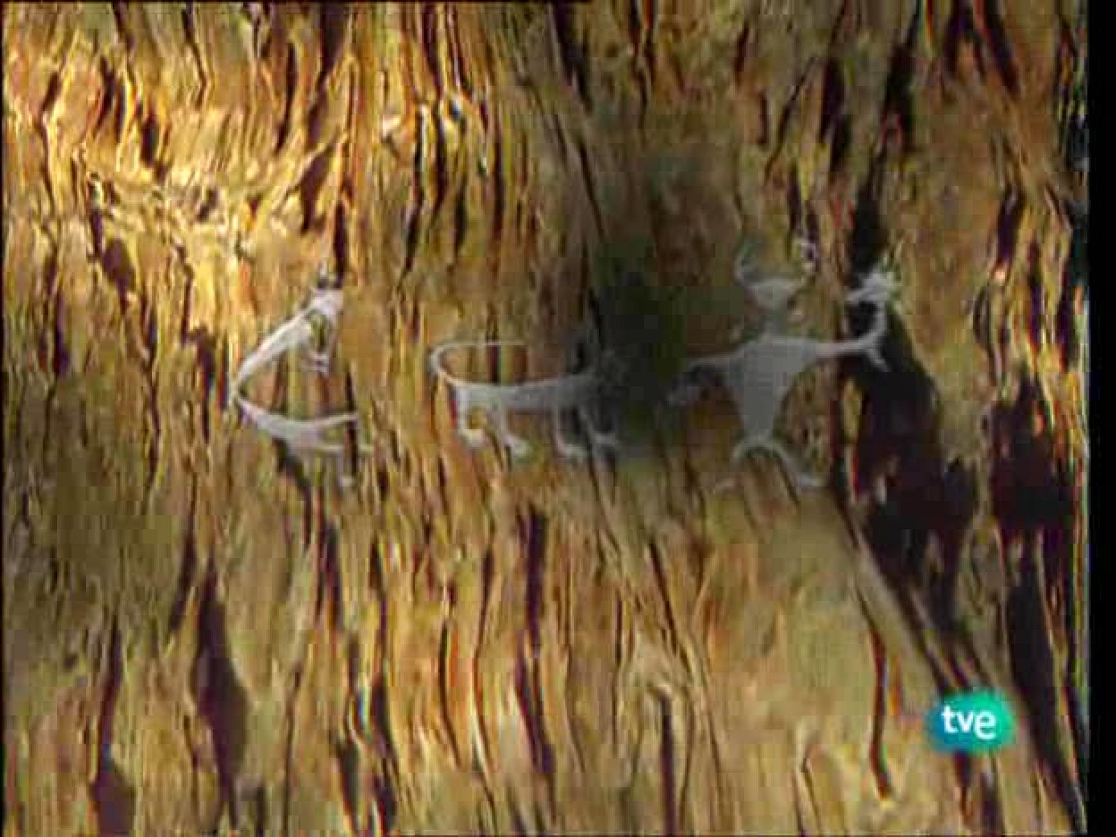 La ruta alternativa - De la tierra el mar y el aire - La ruta alternativa | Ver