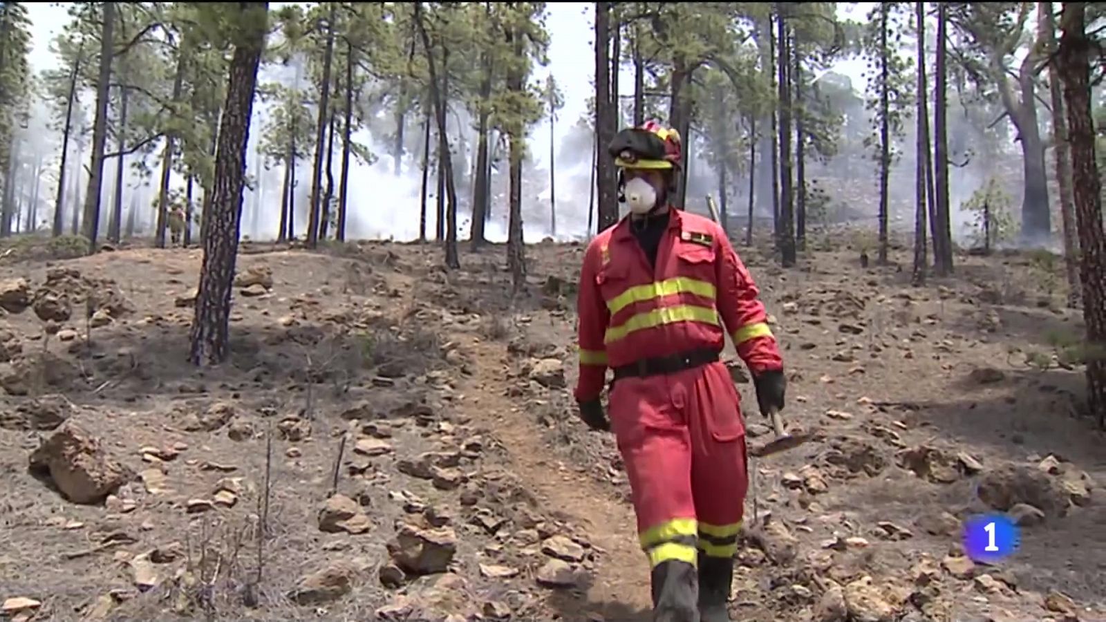 Telecanarias: Canarias en 2' - 23/05/2021             | RTVE Play