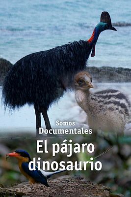 El pájaro dinosaurio