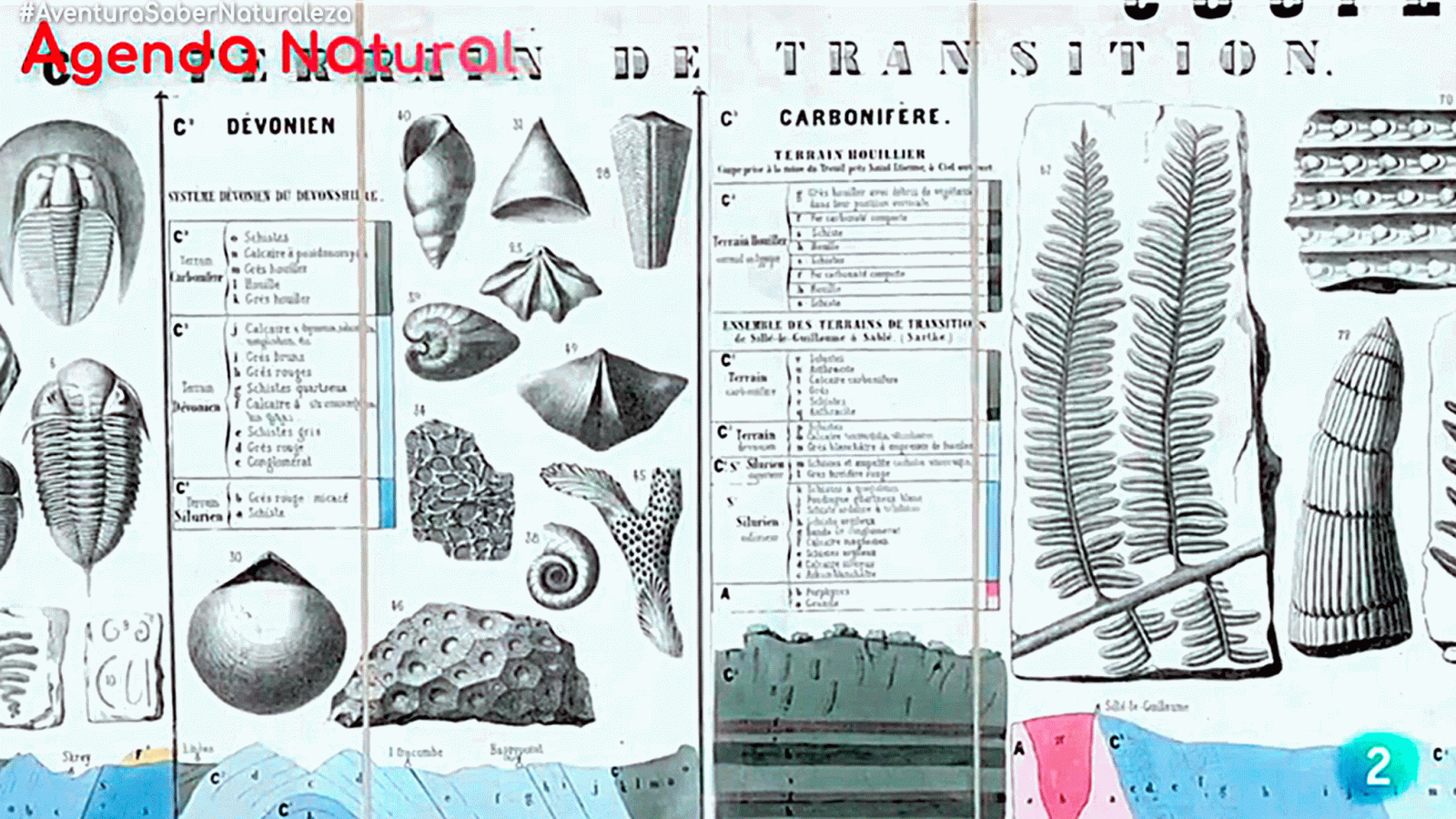 La aventura del saber Agenda natural Naturaliza ciencia investigación Medio Ambiente #AventuraSaberNaturaleza