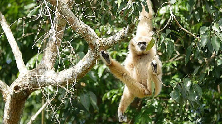 Somos Documentales - Destino Myanmar