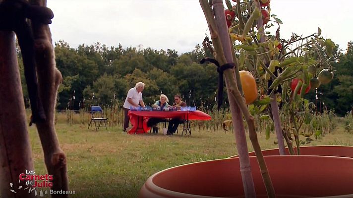 Las recetas de Julie - La región de Burdeos