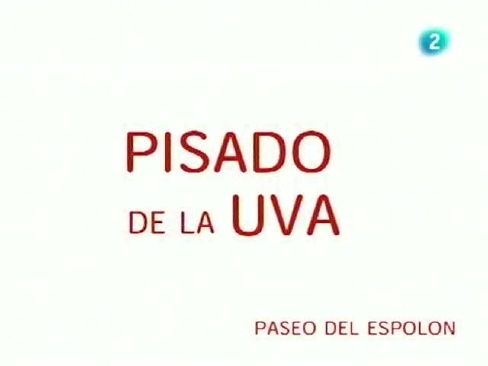 Informativo Telerioja - Acto Institucional del Pisado de la Uva - Informativo Telerioja | Ver