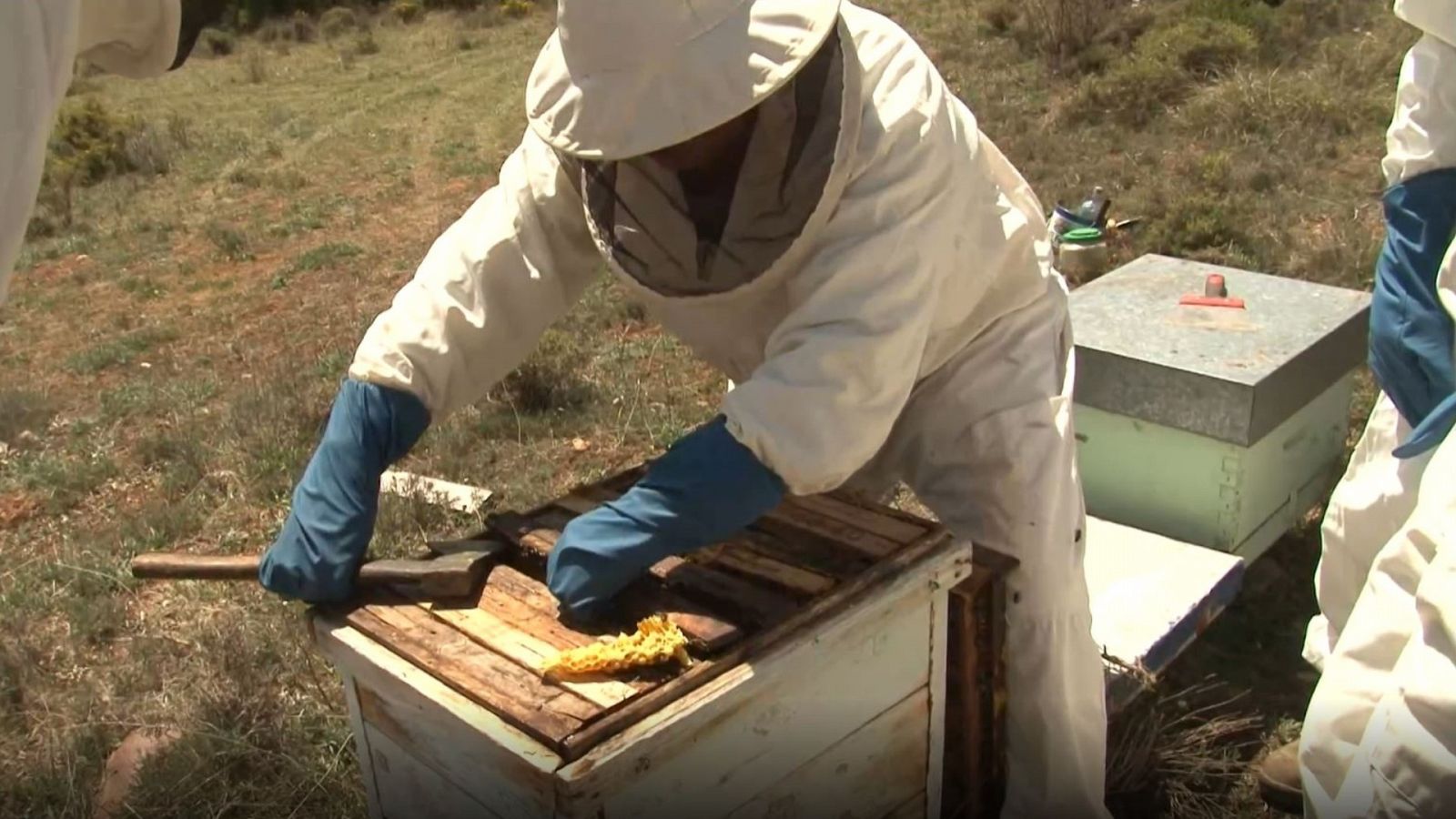 Comando Actualidad - La salida del letargo - ver ahora