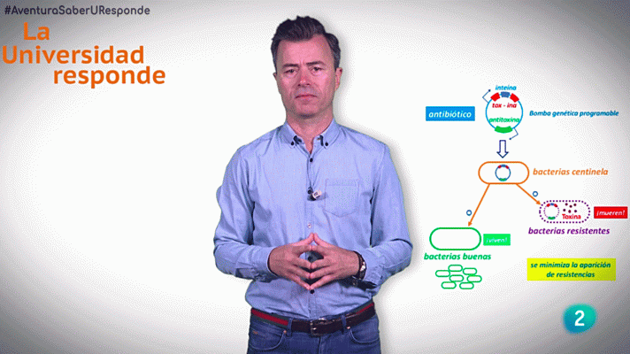 La aventura del Saber - ¿Cómo funcionan los fármacos programables?