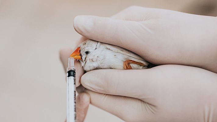 España Directo - Conocemos el Hospital de Fauna Salvaje junto a Evelyn Segura