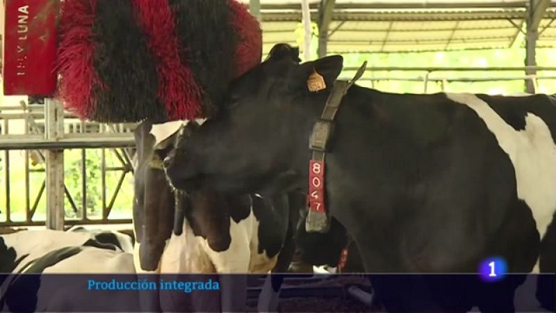 Música para las vbacas