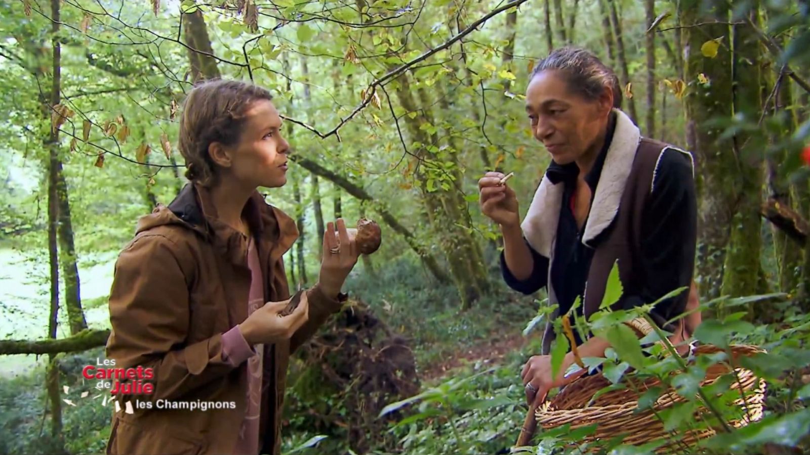 Las recetas de Julie - La ruta de las setas - ver ahora