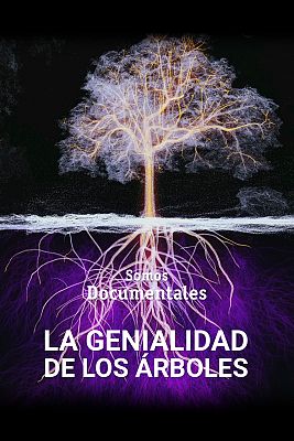 La genialidad de los árboles