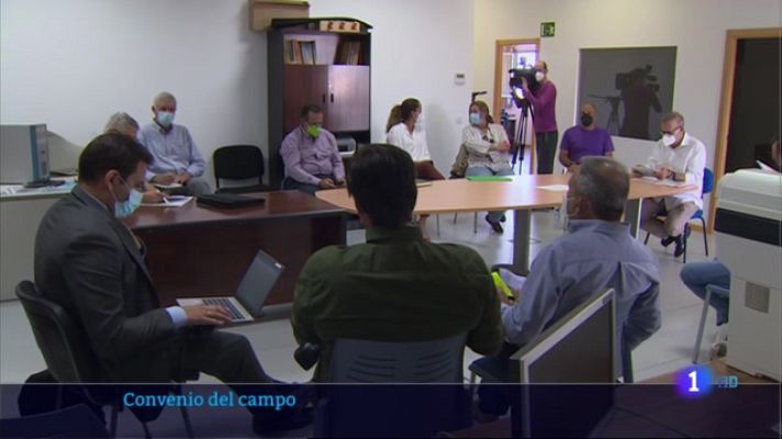 Noticias de Extremadura - Convenio del campo, de nuevo se rompen las negociaciones