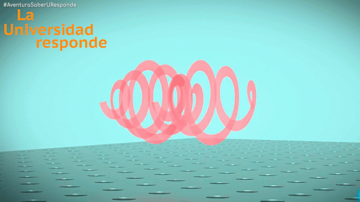 La aventura del Saber - ¿Qué es el torque de luz?