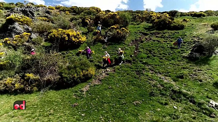 España Directo - España Directo - 26/05/21