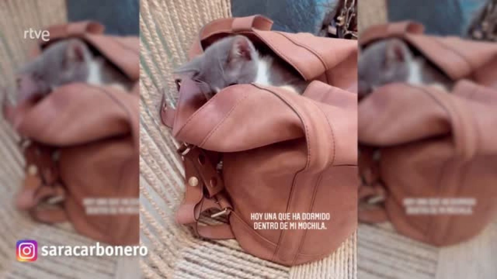 Sara Carbonero nos enseña que hay en su bolso (y nunca adivinarás lo que es)