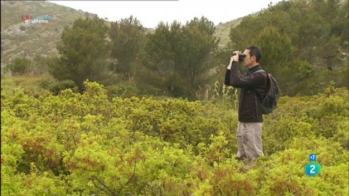 Observant biodiversitat, Abandonament escolar i Teatre Òpera