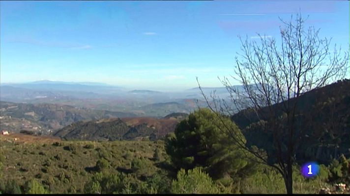 Noticias Andalucía - La Sierra de las Nieves ya está catalogada como  Parque Natural y Reserva de la Biosfera