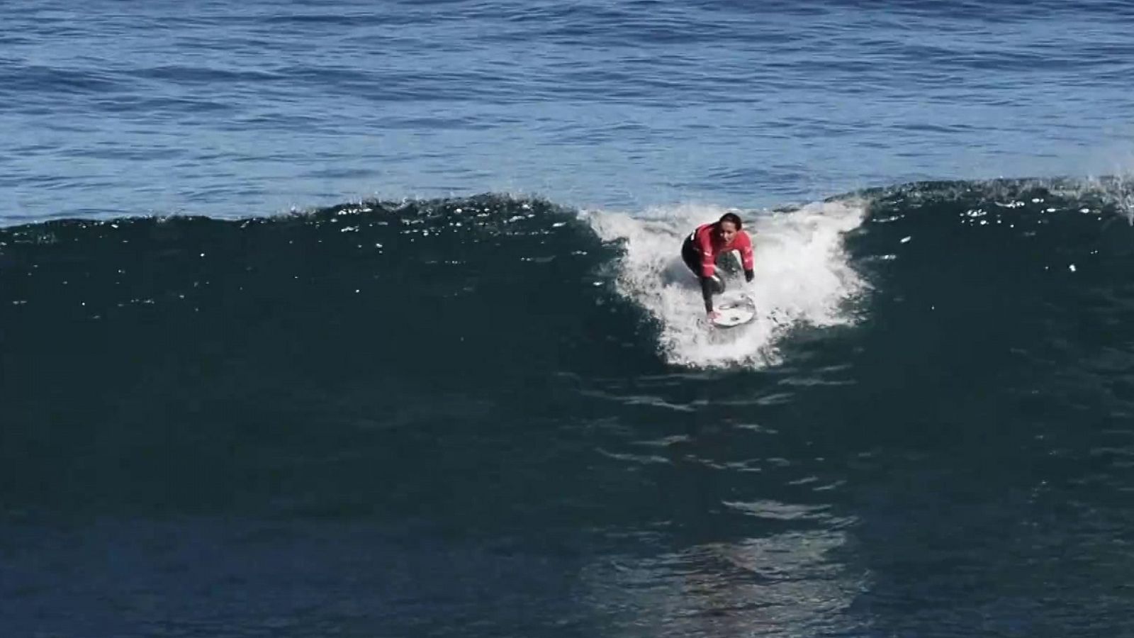 Surfing.es - T4 - Programa 11