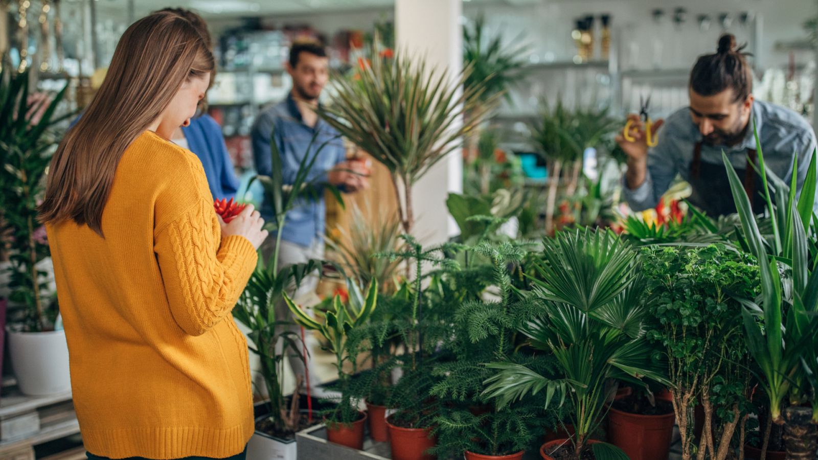 Aquí la Tierra - Una planta por cada continente: desde Europa hasta Oceanía