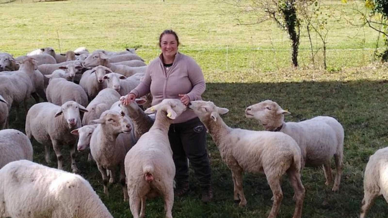 Para todos La2 - 29/05/21 - ver ahora