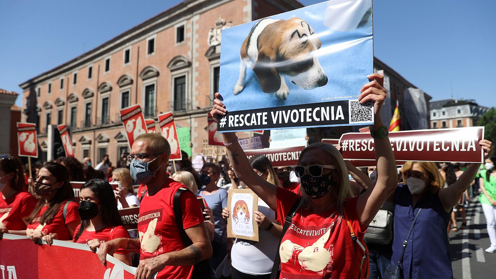 Centenares de personas piden la liberación de los animales de Vivotecnia