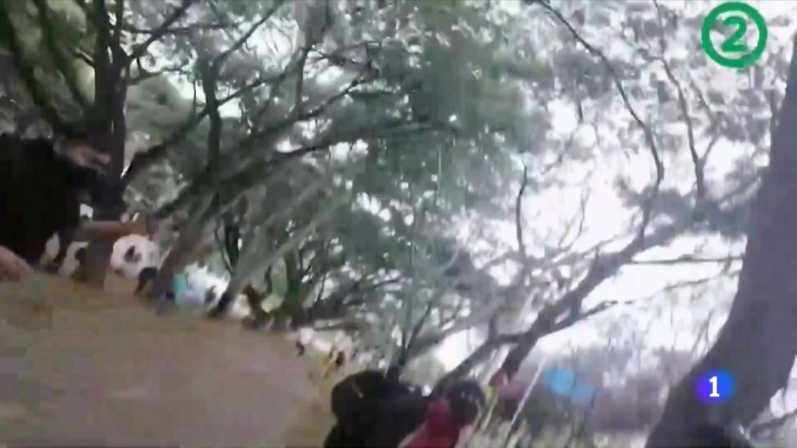 Sigue la presión en las calles de Colombia mientras las negociaciones entre gobierno y el comité de paro continuan estancadas- RTVE.es | Ver