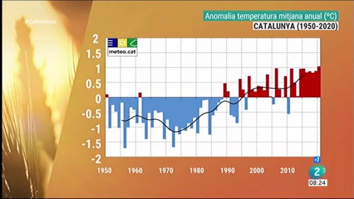 El temps - La temperatura ha Catalunya ja ha augmentat 1,8 ºC