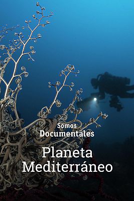 Planeta Mediterráneo