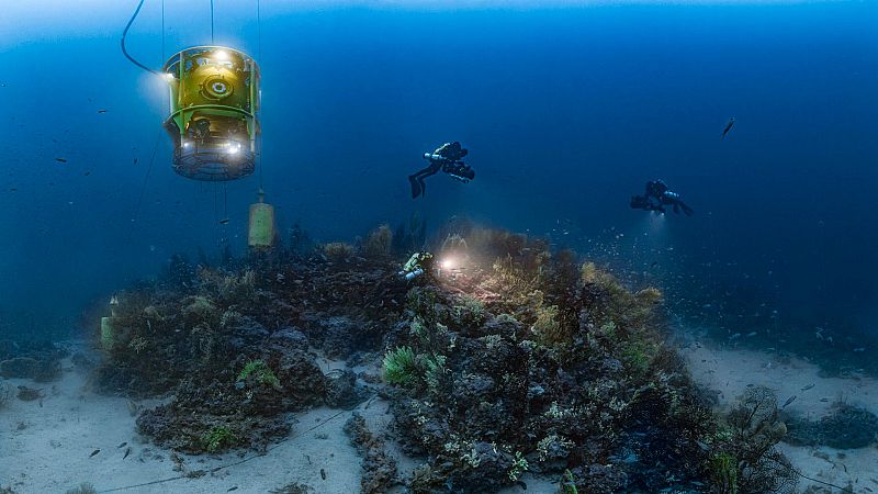 Somos documentales - Planeta Mediterráneo - ver ahora