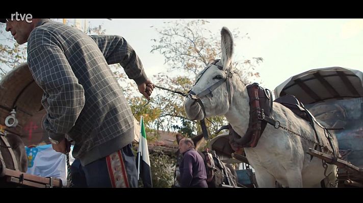 Ruta Vía de la Plata: Diario de un Ciclista - Etapa 9: De Béjar a Villanueva de Campeán