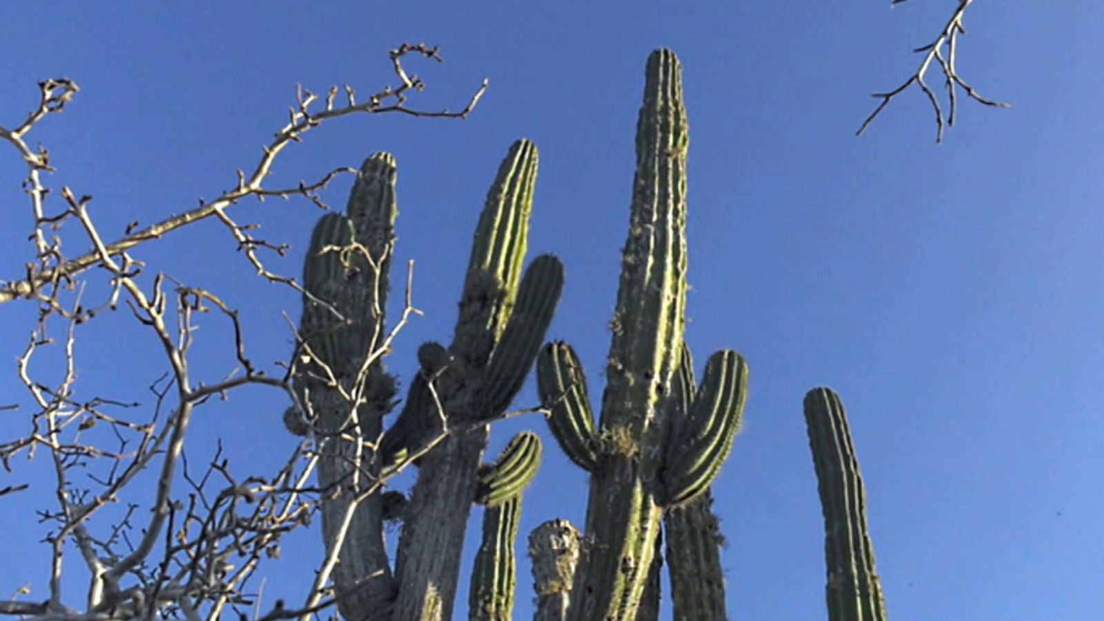 Españoles en el mundo - Baja California - ver ahora