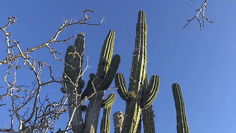 Espaoles en el mundo - Baja California - ver ahora