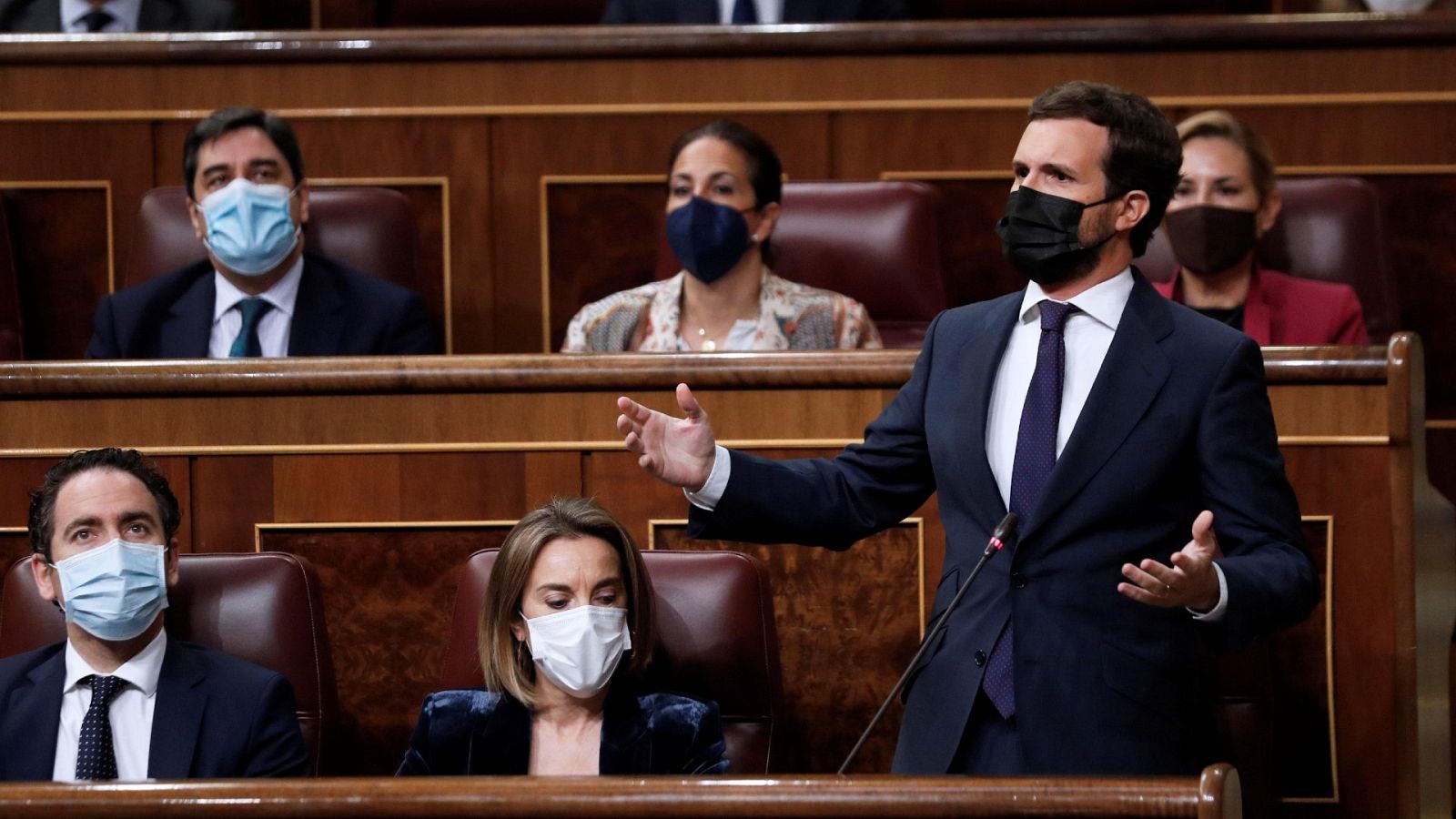 Casado asistirá a la manifestación en Colón contra los indultos del 'procés'