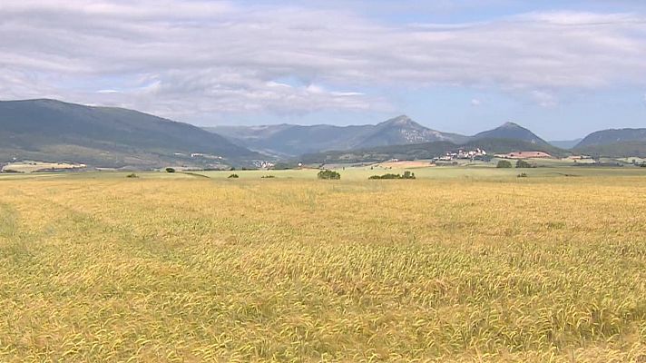 Chubascos y tormentas que podrían ser localmente fuertes en el interior de Galicia y del área cantábrica, oeste del sistema Central y Pirineo oriental