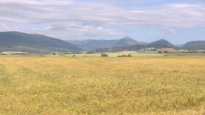 Chubascos y tormentas que podrían ser localmente fuertes en el interior de Galicia y del área cantábrica, oeste del sistema Central y Pirineo oriental - ver ahora