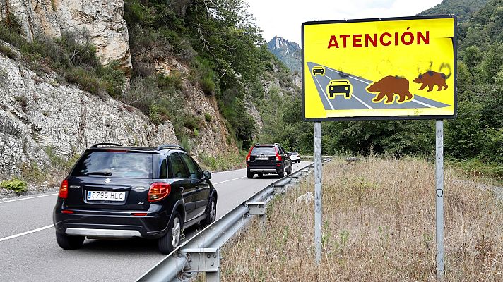 La tarde en 24h - El presidente de la Fundación Oso Pardo dice que el ataque ocurrido en Asturias "es algo excepcional"