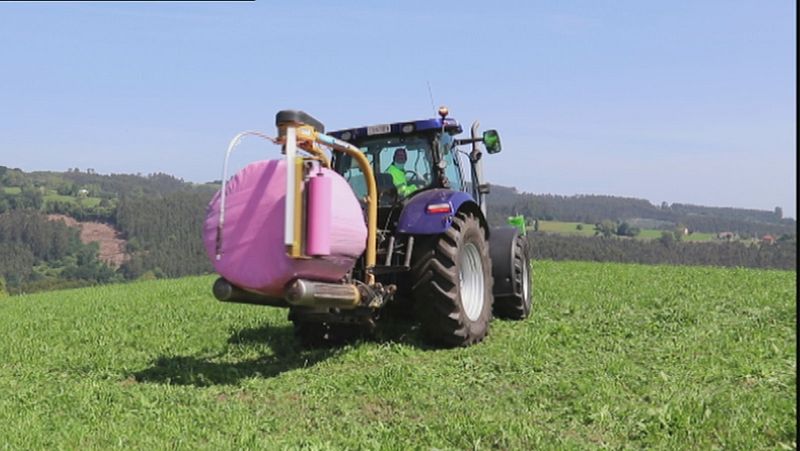 El plástico de color rosa se abre paso en los campos de Cantabria