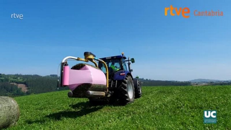 El plástico de color rosa se abre paso en los campos de Cantabria