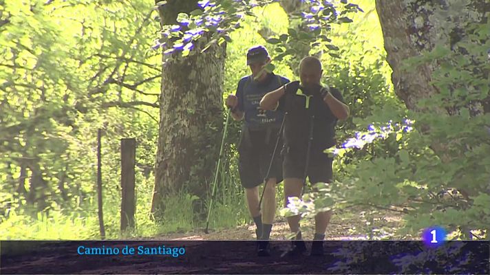 El tramo navarro del Camino de Santiago recupera peregrinos en este Año Santo