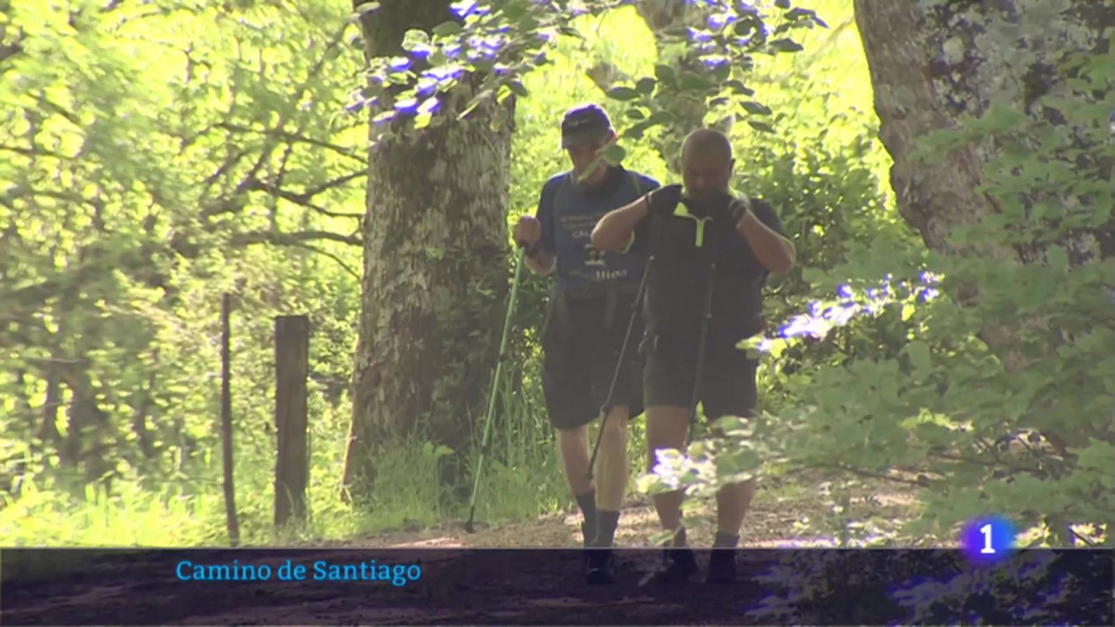 Camino de Santiago Navarra